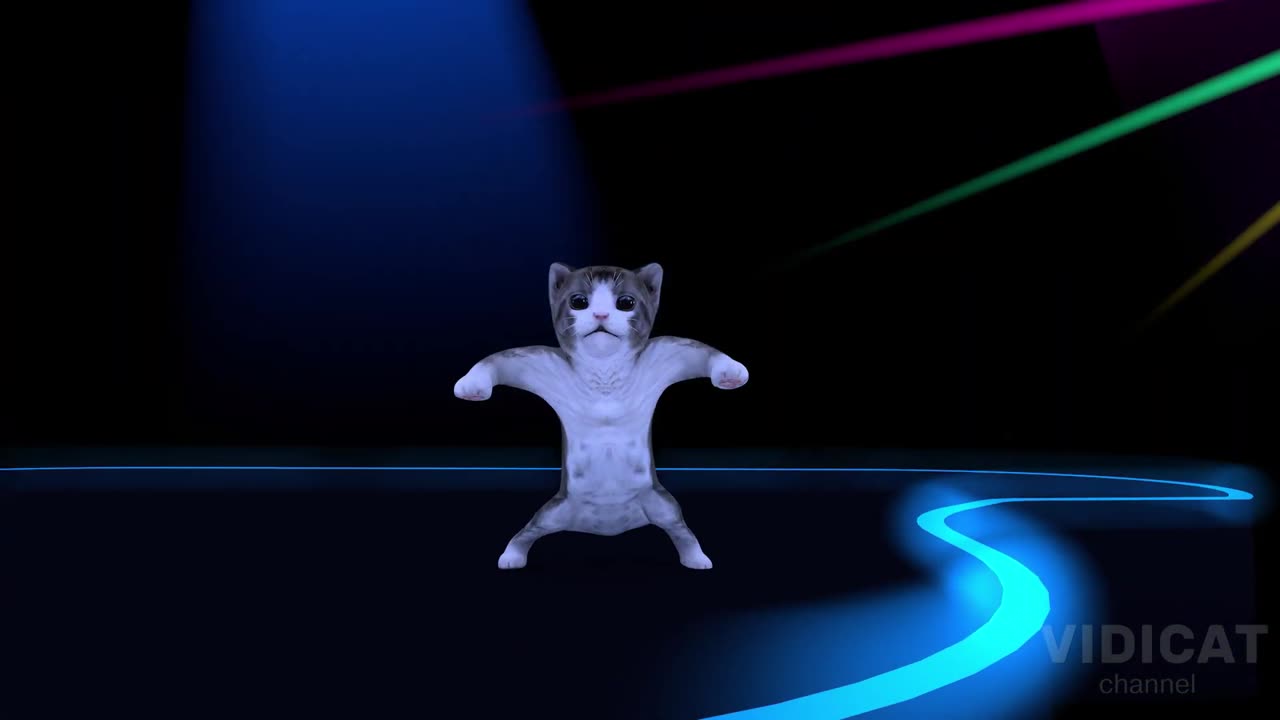 Cat And dog dancing in the club . Can and dog