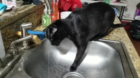 20240814 191417 Tux Has a Drinking Problem