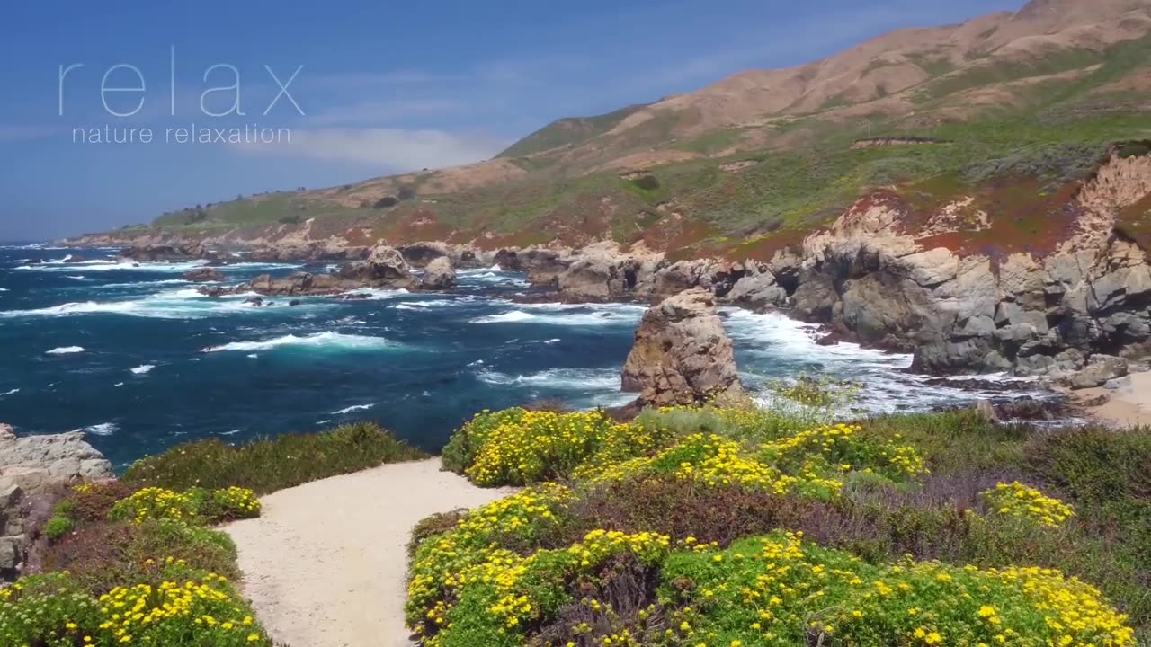 Coastal Journey Drone Flight America