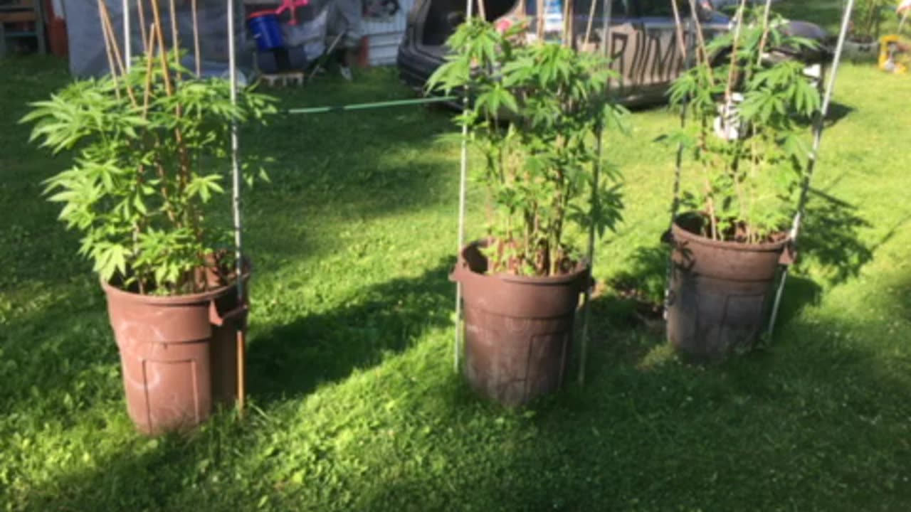 Hunter’s sweetheart deal p receipts 🧾