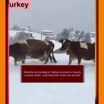 🚨 WARNING TO HUMANITY❗