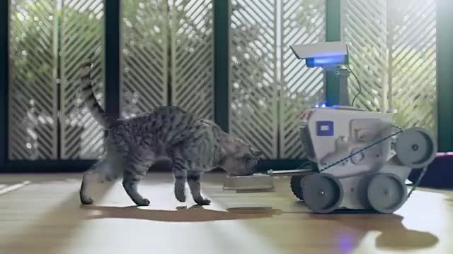 Whiskas K.I.T Robotics_1