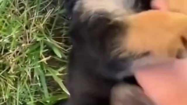 His little laugh 😍.