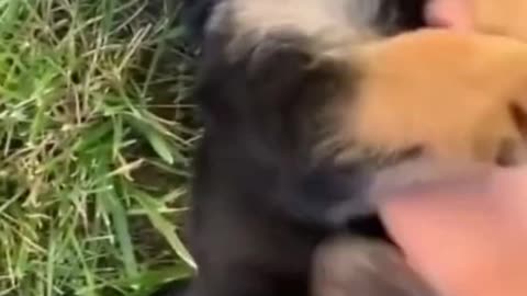 His little laugh 😍.