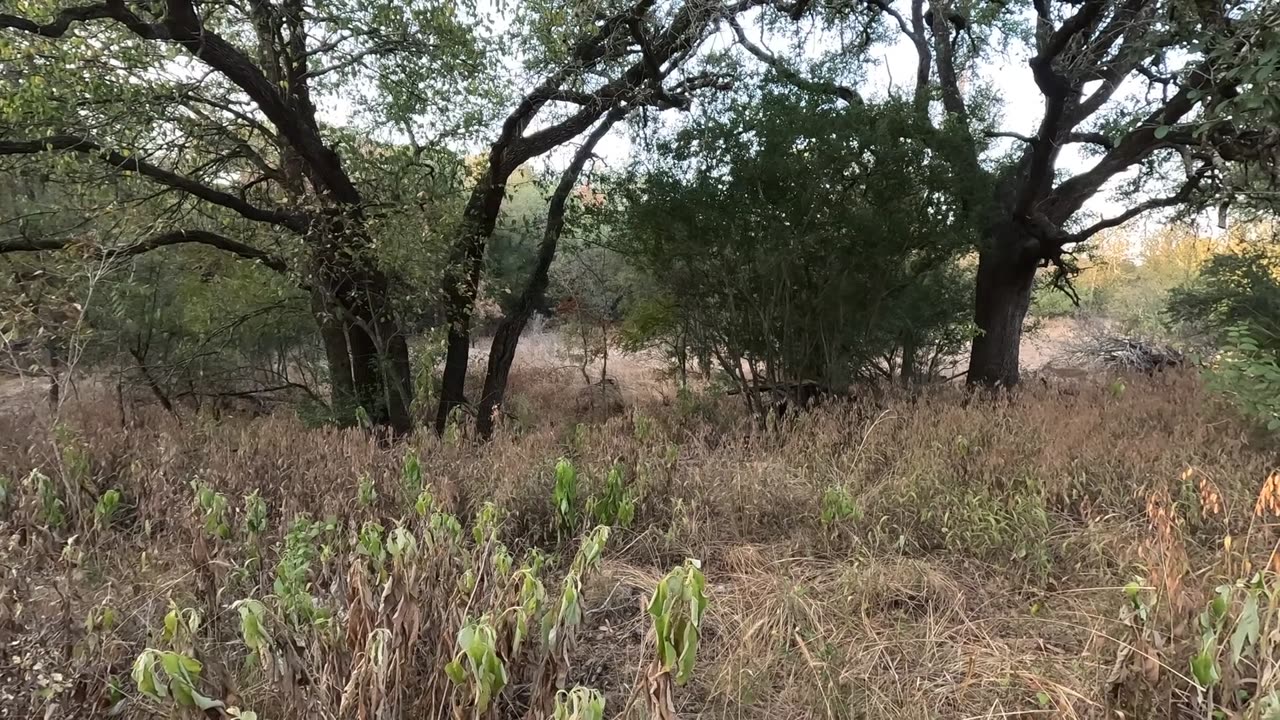 Purgatory Trail - San Marcos, TX