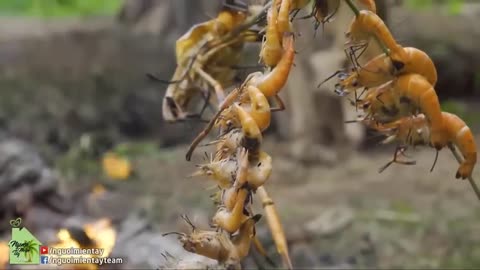 TUCKER CARLSON 4/11/2