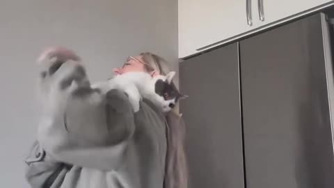 Sweet cat