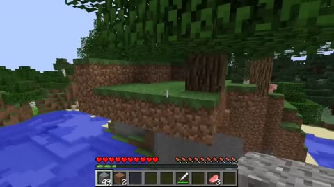 wait what minecraft meme (the best moments)4