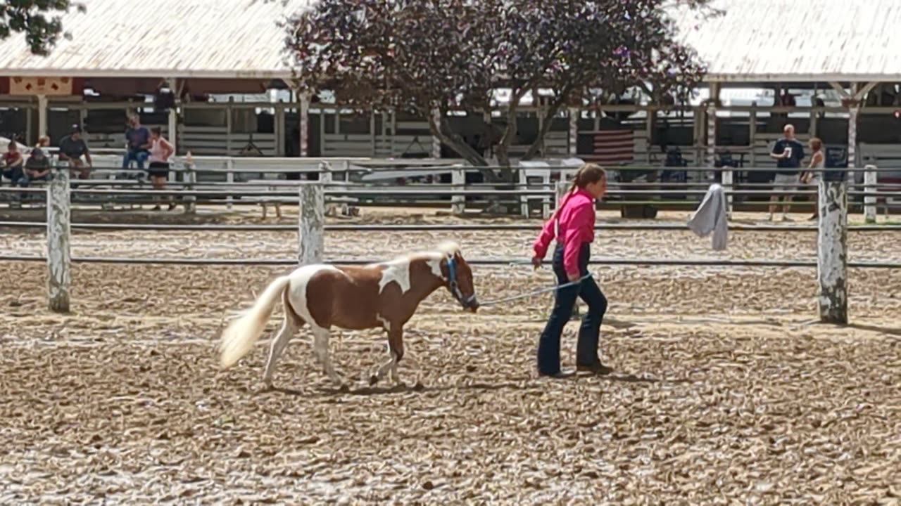 Nora and Elle - mini Pole Bending - 29 July 2023