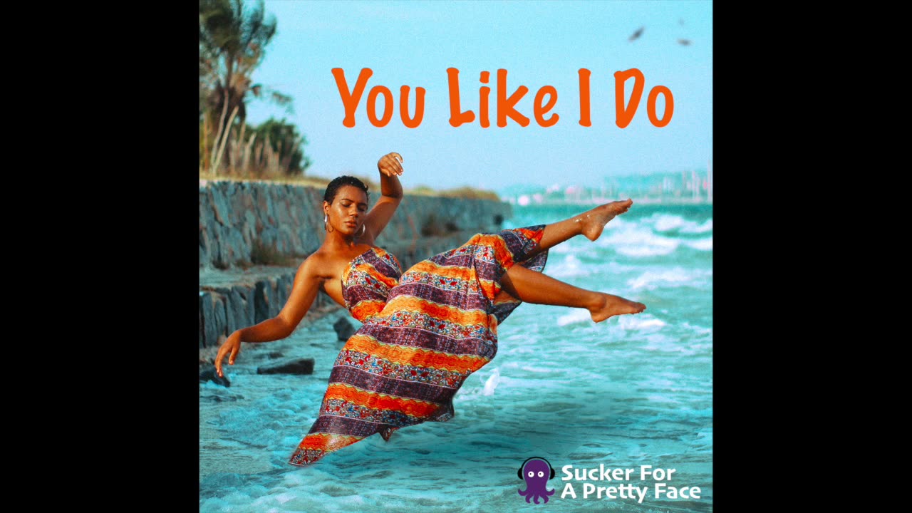 You Like I Do – Sucker For A Pretty Face