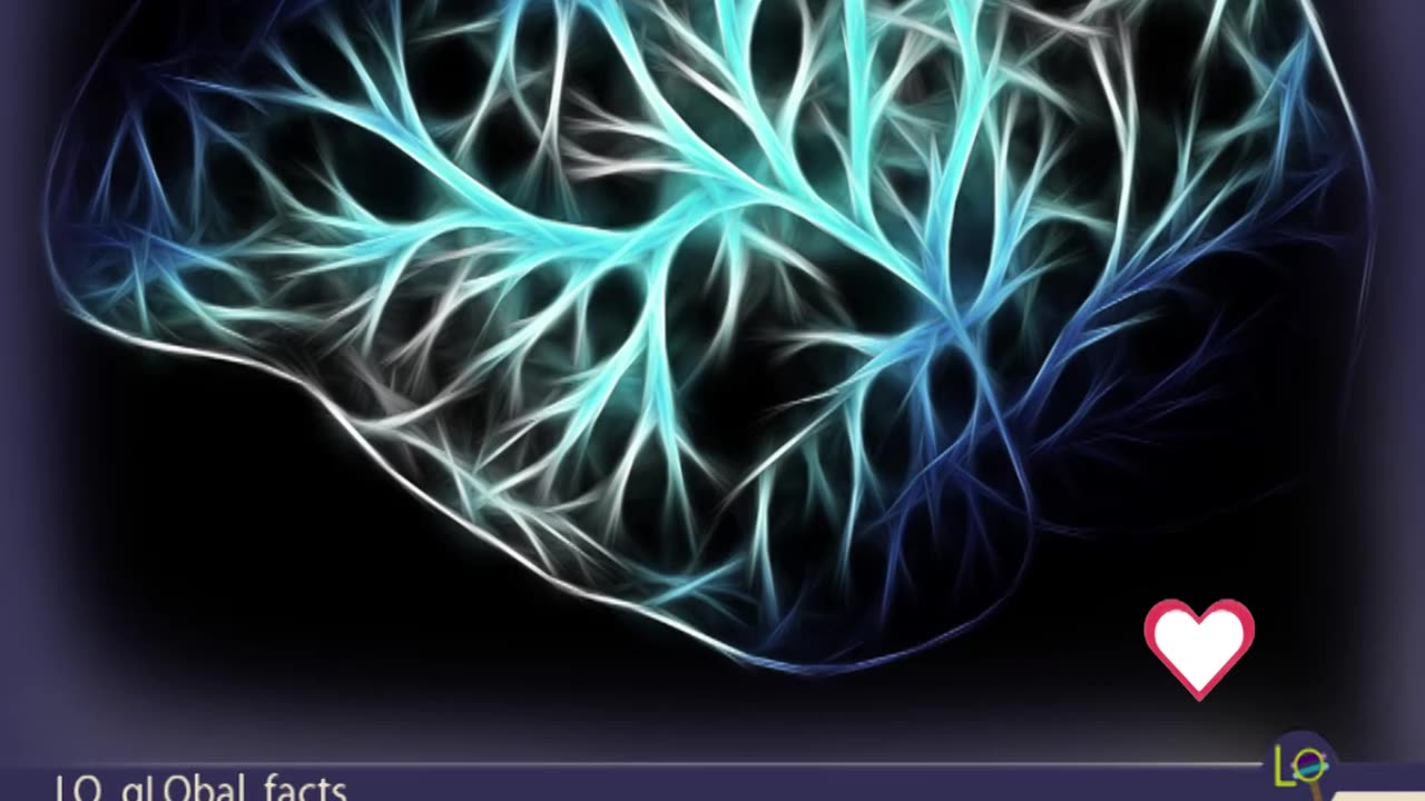 Total neuronal count in the brain /Number of Nerve cells in Brain