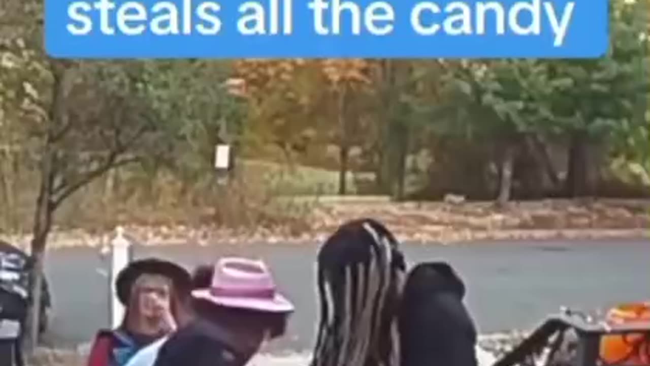 Same story every Halloween 🎃👻😂