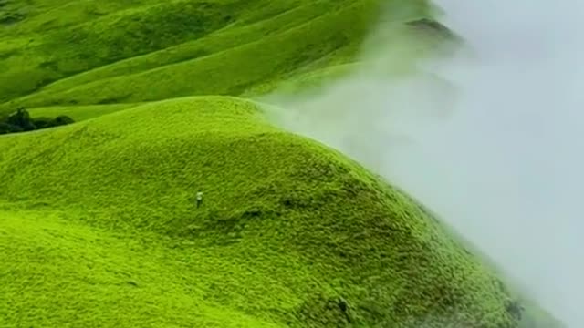 would you like to run here