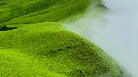 would you like to run here