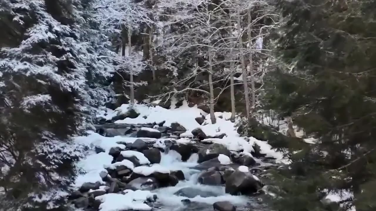 АТМОСФЕРНЕНЬКО... 👍