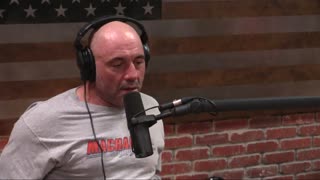 Joe Rogan Experience #1206 - Mike Ward Pantelis.mp4