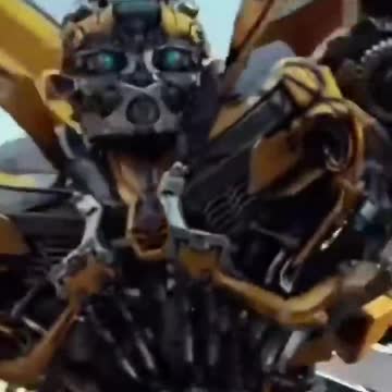 Bumblebee brad edits