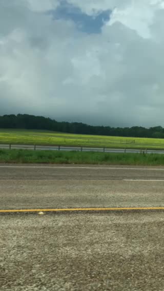 Traveling through east Texas beautiful flowers!