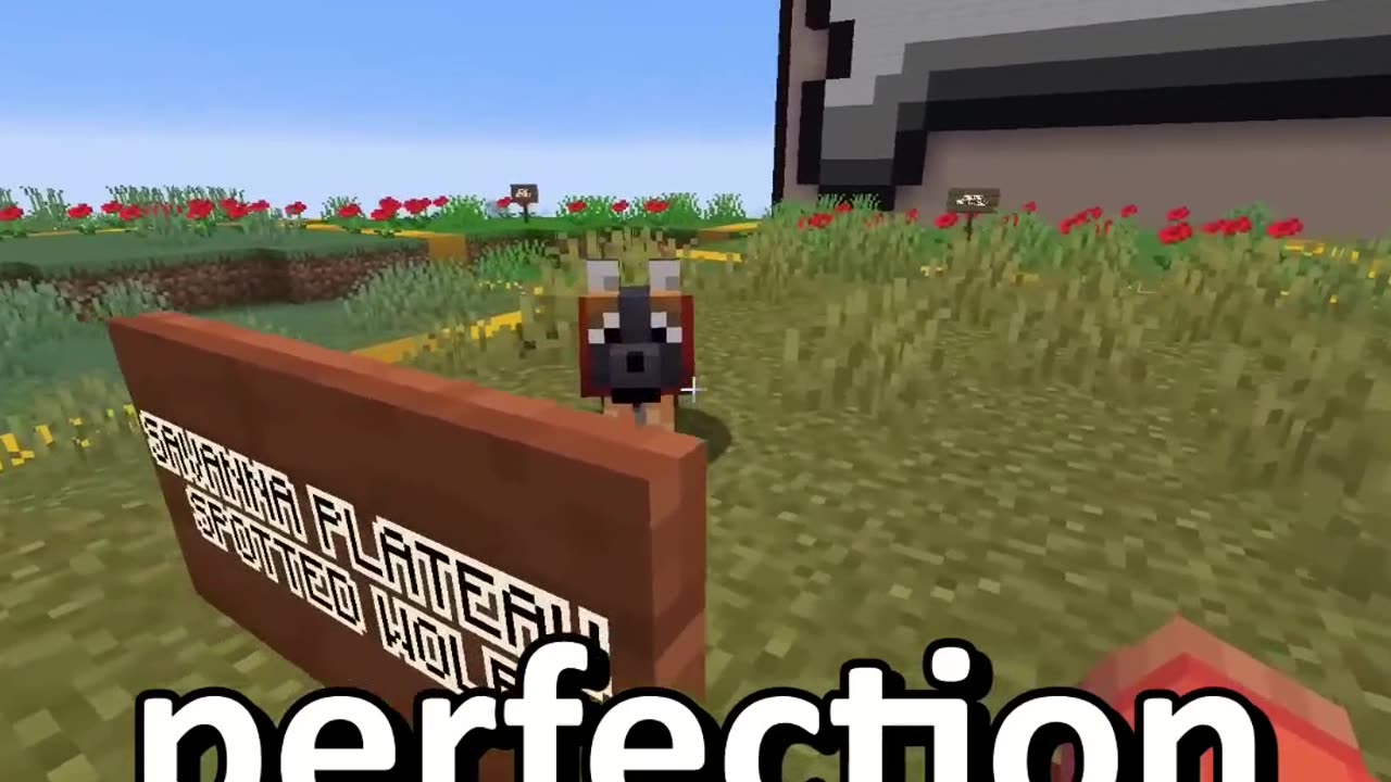 The Perfect Spotted Wolf in Minecraft Survival Mode: New Discovery!