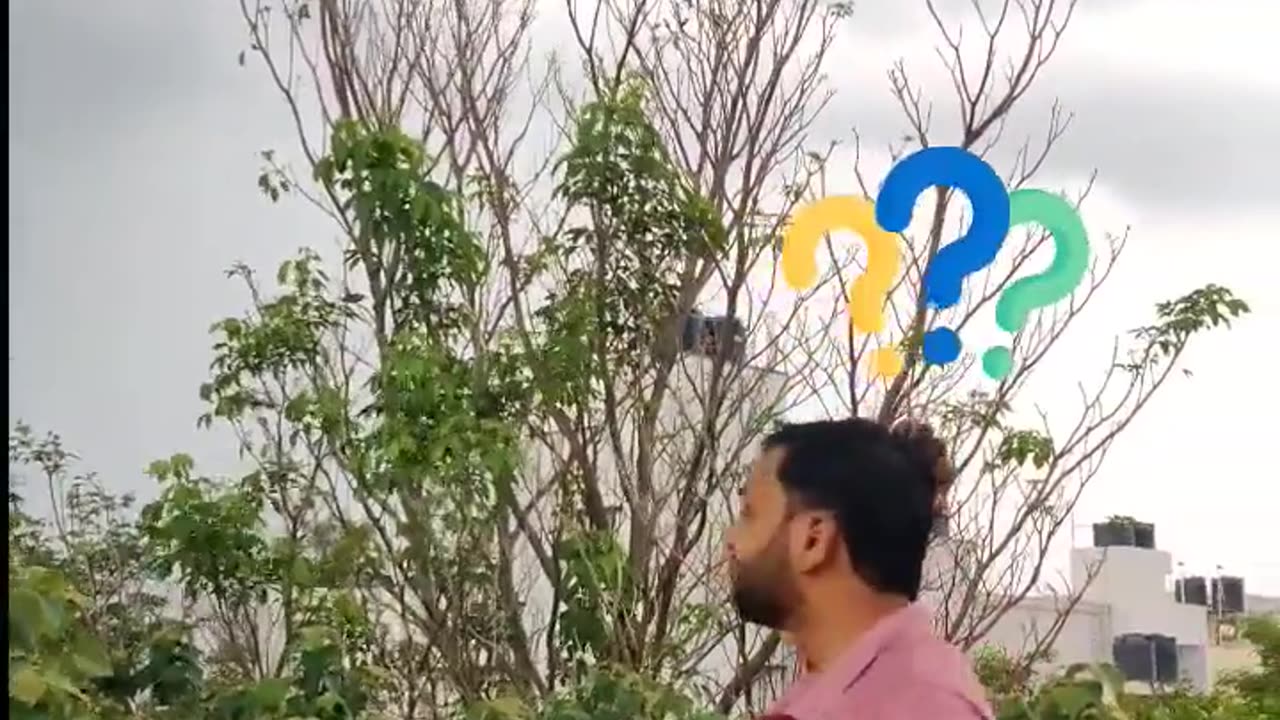 IT vs Non IT