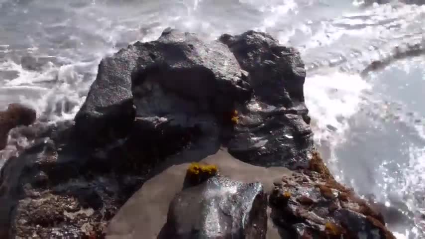 Tribute to Todd 06 ... 4th Ceremony at Ho'okena Beach