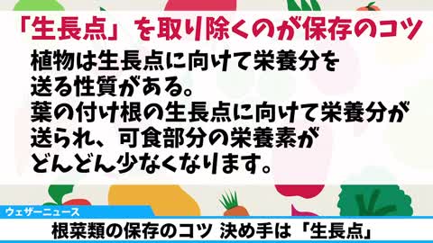 根菜類の保存のコツ 決め手は「生長点」