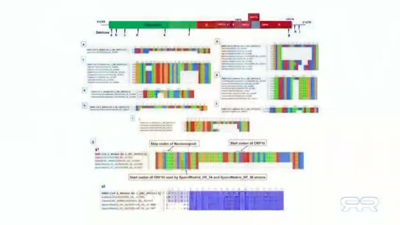 Info Wars - jamás se ha aislado un virus - ordenador entrega un genoma consenso del caldo mezclado