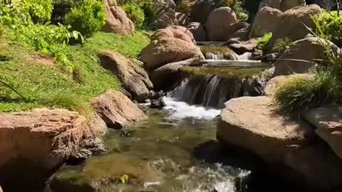 Most people don't know about the secret Japanese garden in Downtown Phoenix