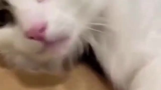 When you are special and you know it