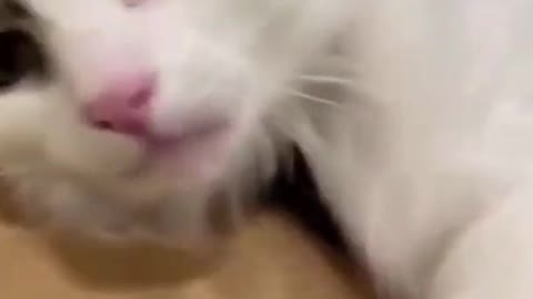 When you are special and you know it