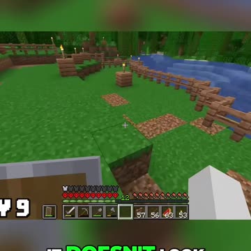 Transforming My Backyard: Landscaping Adventures + Chicken Time