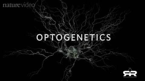 Optogenetics and the Secret Worldwide Nanotech Experiment