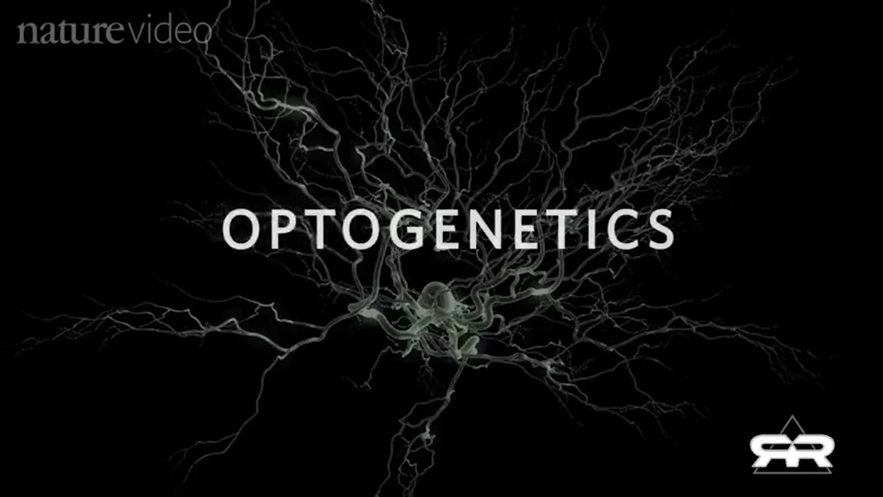 Optogenetics and the Secret Worldwide Nanotech Experiment