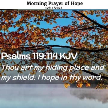 Morning Prayer of Hope #youtubeshorts #jesus #grace #mercy #faith #blessed #fyp #trust #love #help