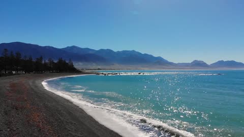 Kakura beach New Zealand