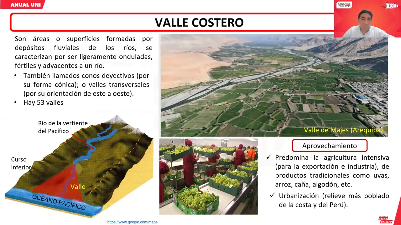 ANUAL VALLEJO 2024 | Semana 13 | Economía | Geografía | Álgebra