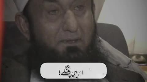 islamic videos
