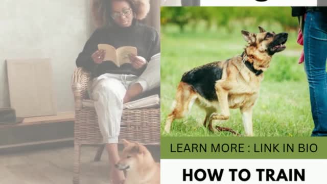 How to train your Dog to Greet Visitors?