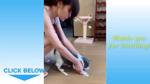 Funny Animals Compilation