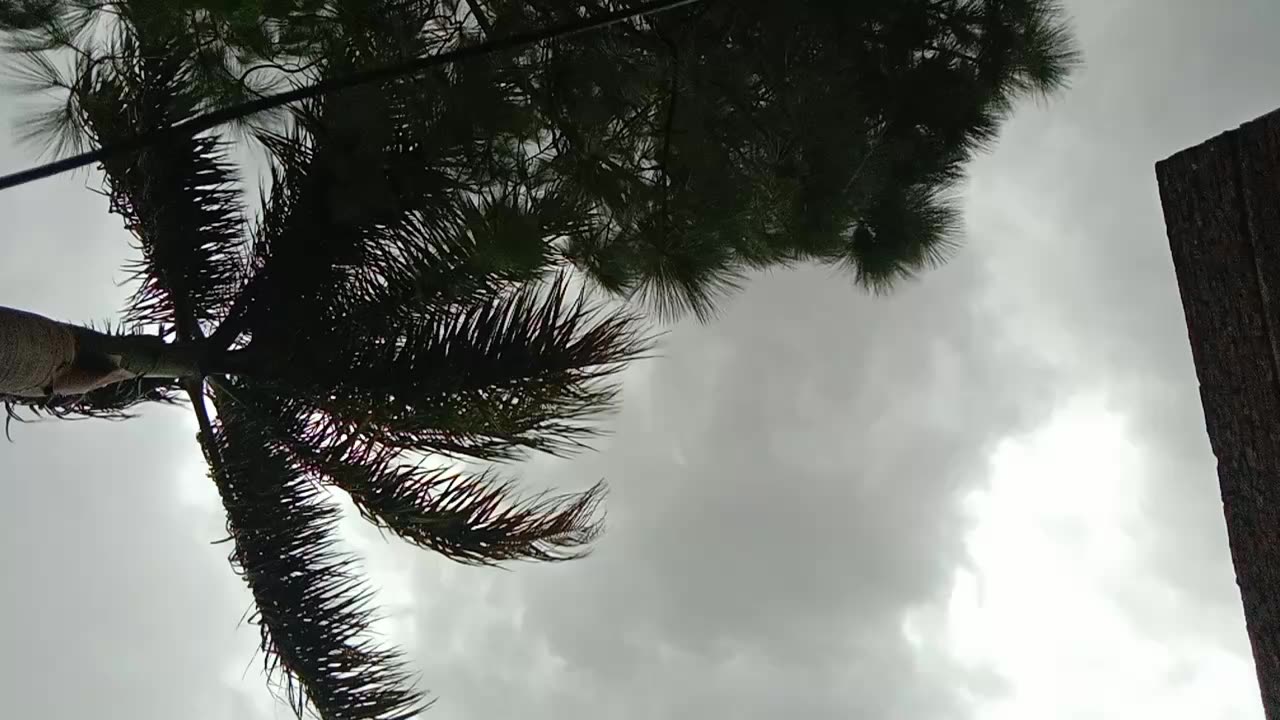 A sky with running clouds amazing video #amazingvideo #naturevideo #nature #clouds #nature