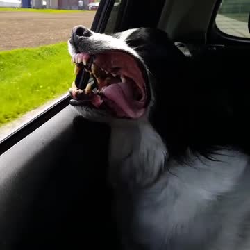 FEELING GOOD TO BREATH FRESH AIR OUTSIDE.mp4