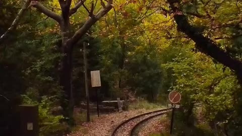 🍂 Meet me under the falling leaves.. ~ 📍Vouraikos Gorge ~