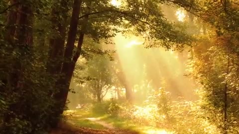 Relaxing Music | Sleeping, Meditation, Stress Relief | [7196] ⭐️