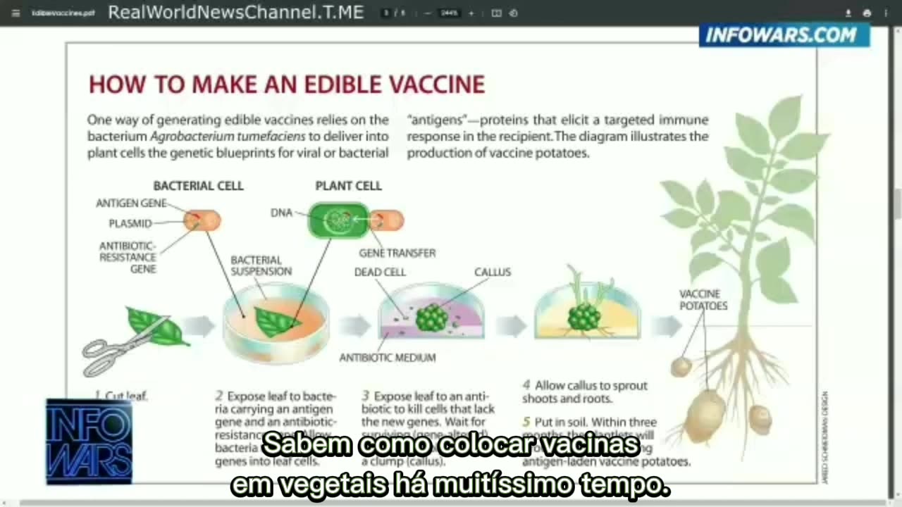 ⚠️💉🤐JÁ SABIAM COMO COLOCAR VACINAS EM VEGETAIS HÁ MUITO TEMPO💉🤐⚠️