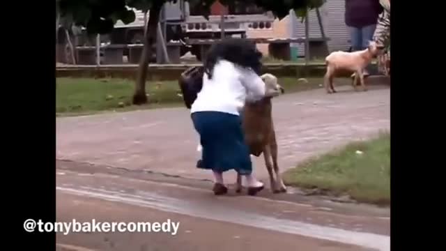 Goats attacking