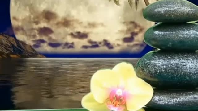 Relaxing Music Meditation Music Natural music Nature sounds