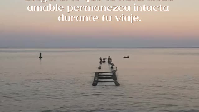 ¿Eres SENSIBLE? VE este VIDEO | CafeconFer