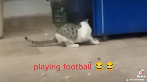 Playing football 😂😂😂