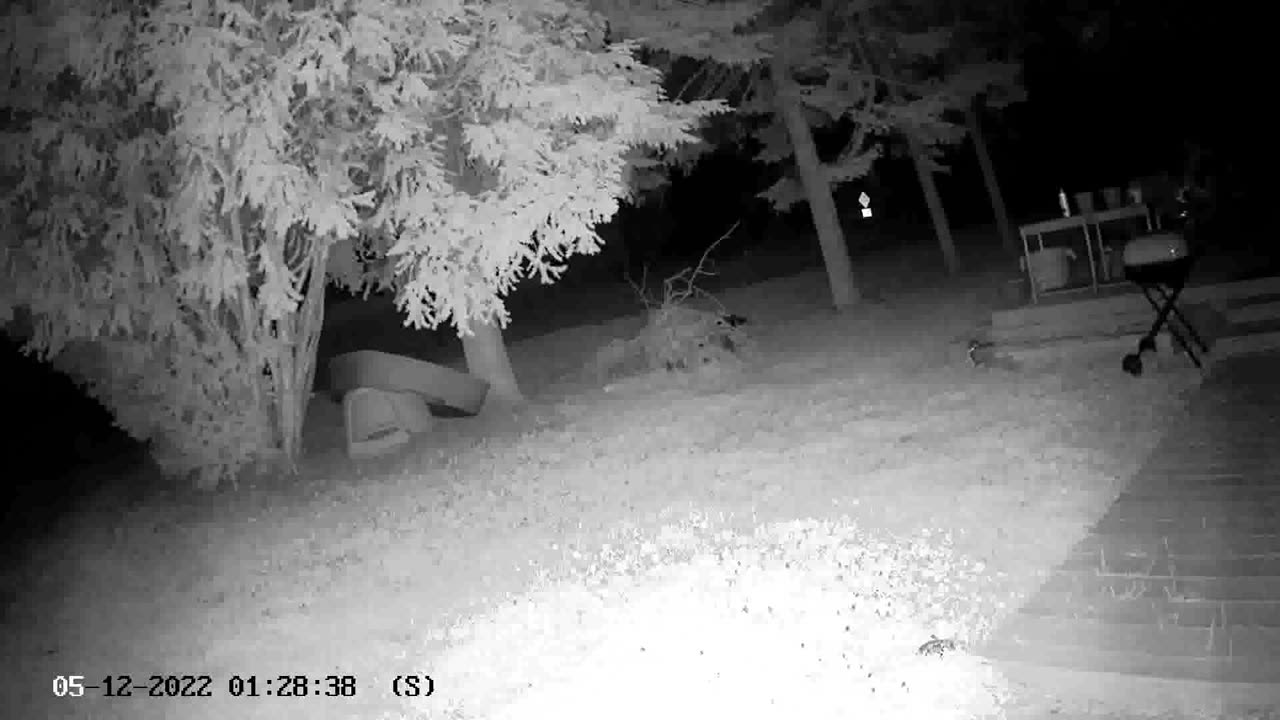 Another crazy IR camera capture of weird orbs