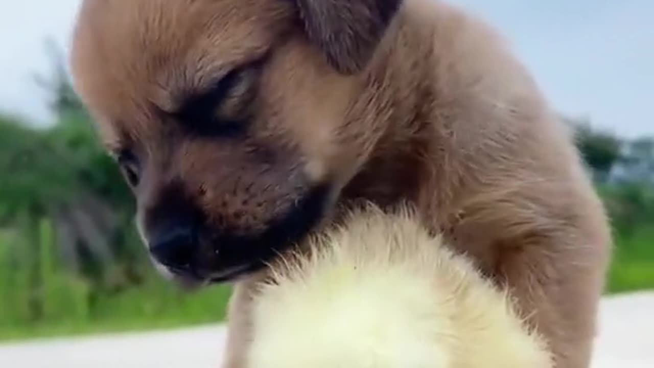 Were you asleep? Hurry up